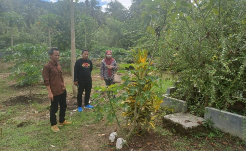 uji petik