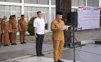 deklarasi damai